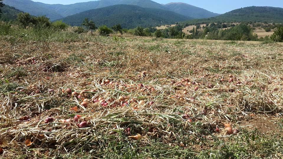 Amasya Gümüşhacıköy Sekü Köyü Resimleri 42