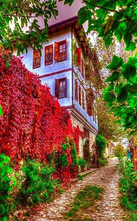 Çorlu Cumhuriyet Köyü Resimleri 2