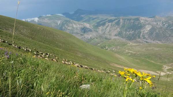 Erzurum Olur Kekikli Köyü Resimleri 12