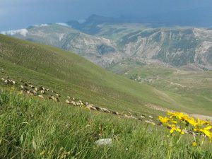Erzurum Olur Kekikli Köyü Resimleri