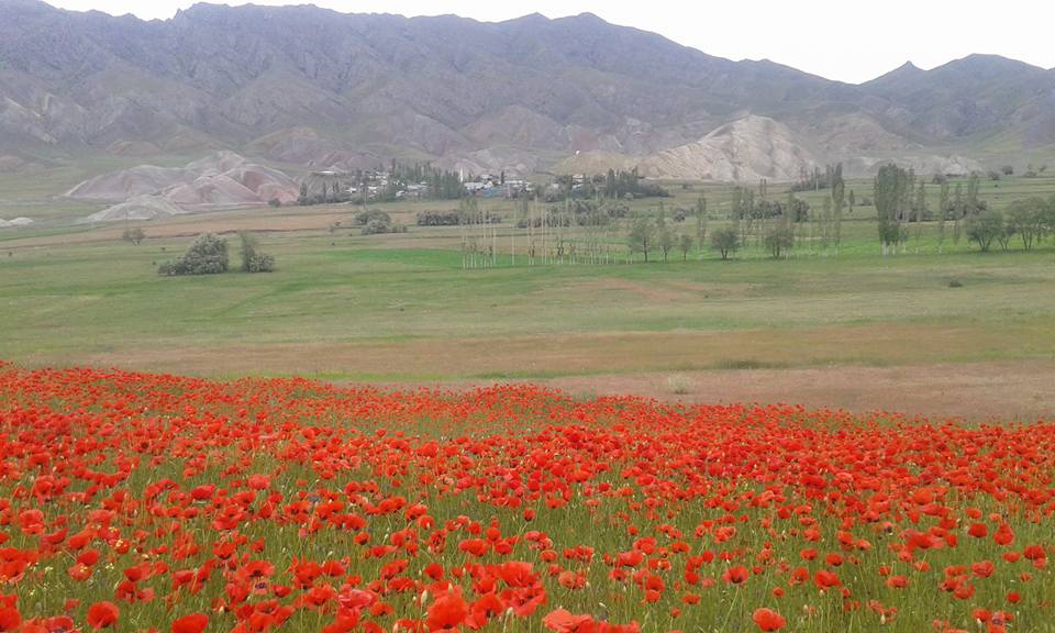 Oltu Toprakkale Köyü Resimleri 5