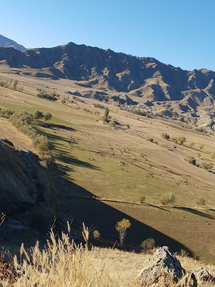 Oltu Toprakkale Köyü Resimleri 9