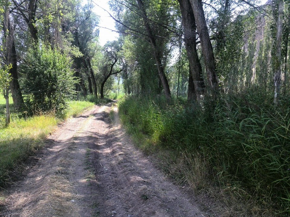 Oltu Ünlükaya Köyü Resimleri 4