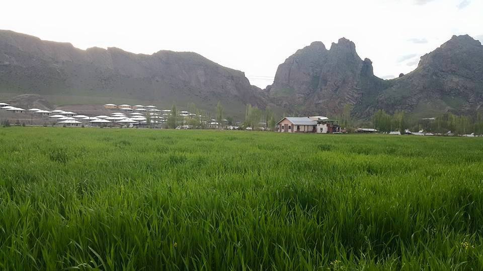 Oltu Ünlükaya Köyü Resimleri 7