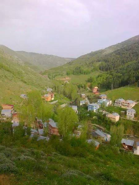 Gümüşhane  Süngübayır  Köyü Resimleri 1