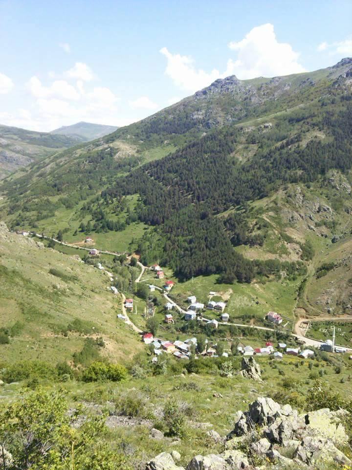 Gümüşhane  Süngübayır  Köyü Resimleri 2