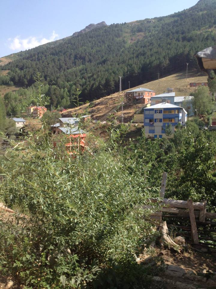 Gümüşhane  Süngübayır  Köyü Resimleri 6