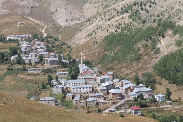 Gümüşhane  Şaphane  Köyü Resimleri 4