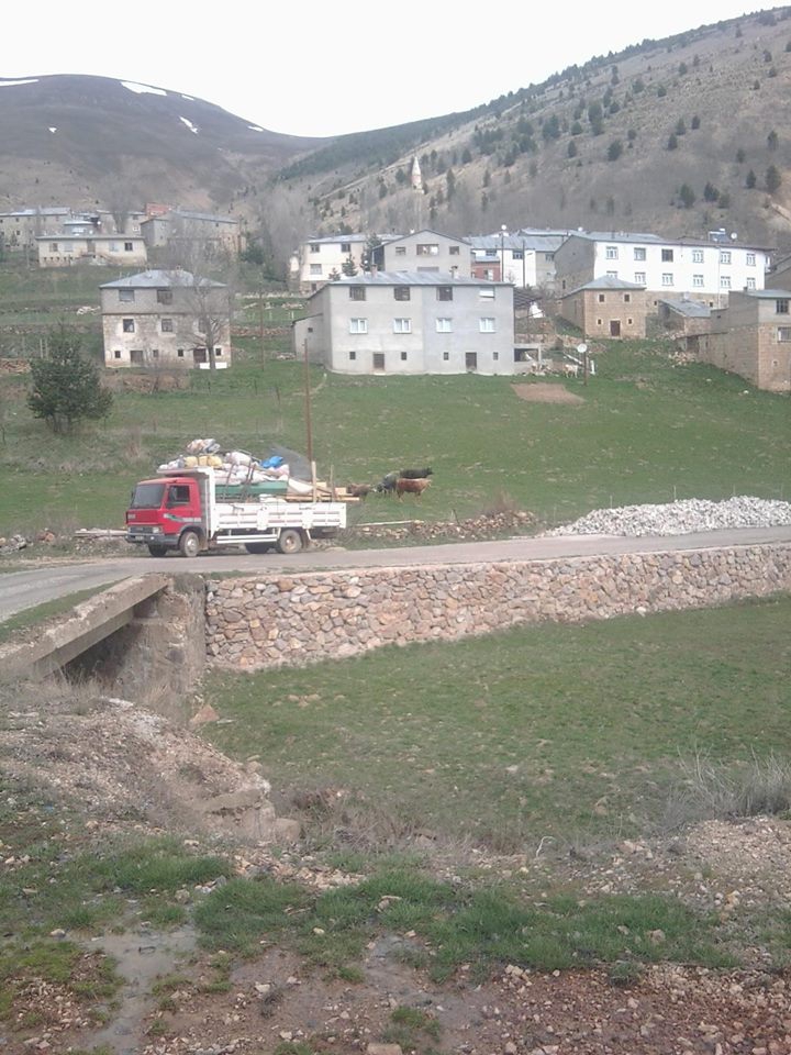 Gümüşhane  Şaphane  Köyü Resimleri 6