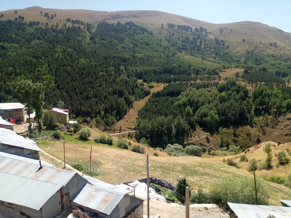 Gümüşhane  Tandırlık  Köyü Resimleri 3