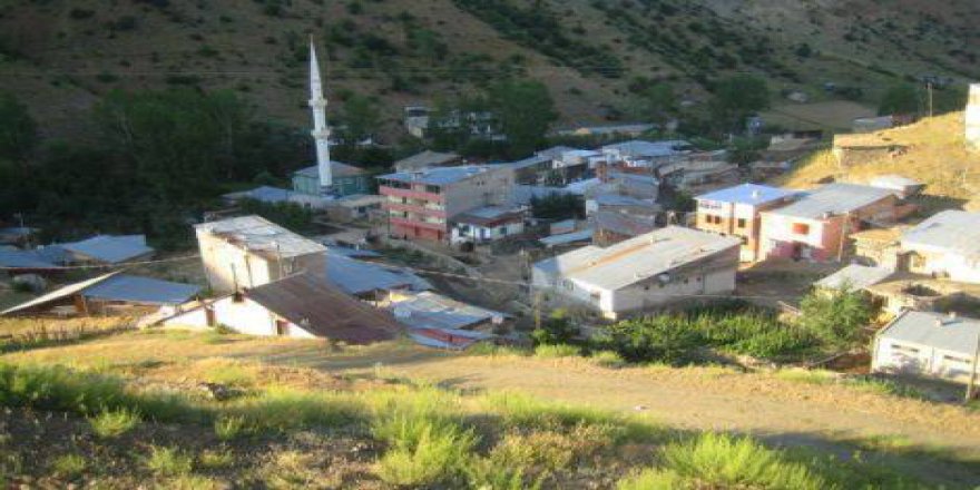 Gümüşhane Üçkol Köyü Resimleri