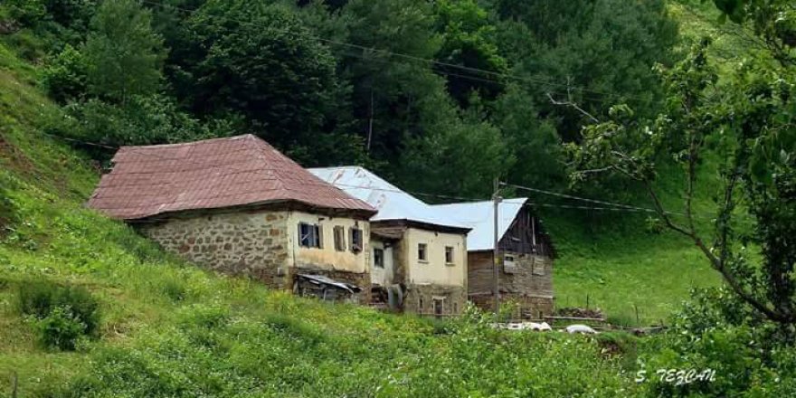 Gümüşhane Yağmurdere Köyü Resimleri