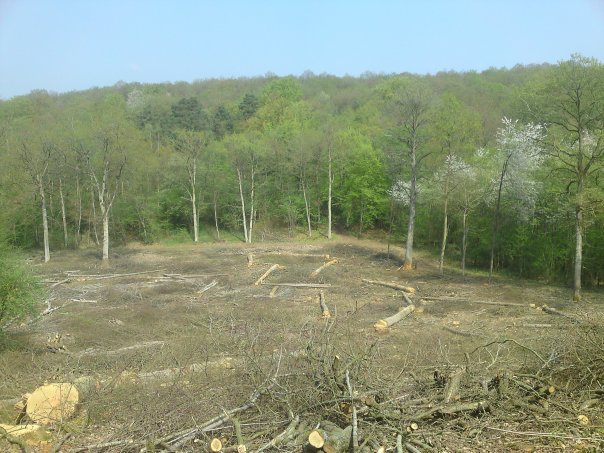 Amasya Merzifon Alişar Köyü Resimleri 6