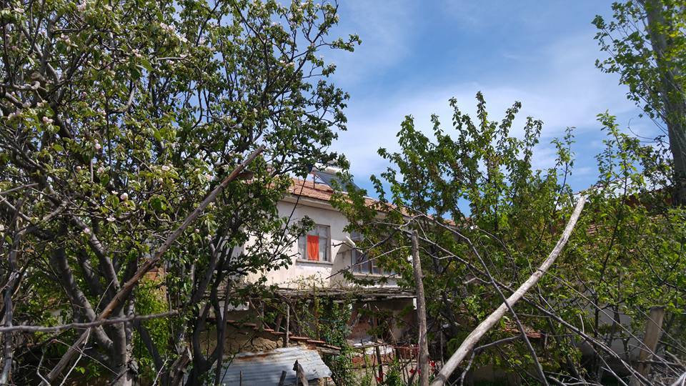 Amasya Merzifon Büyükçay Köyü Resimleri 25