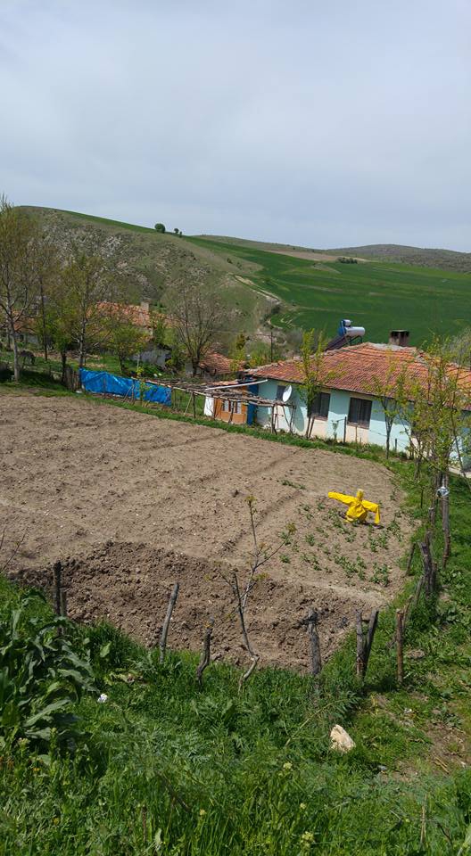 Amasya Merzifon Büyükçay Köyü Resimleri 29