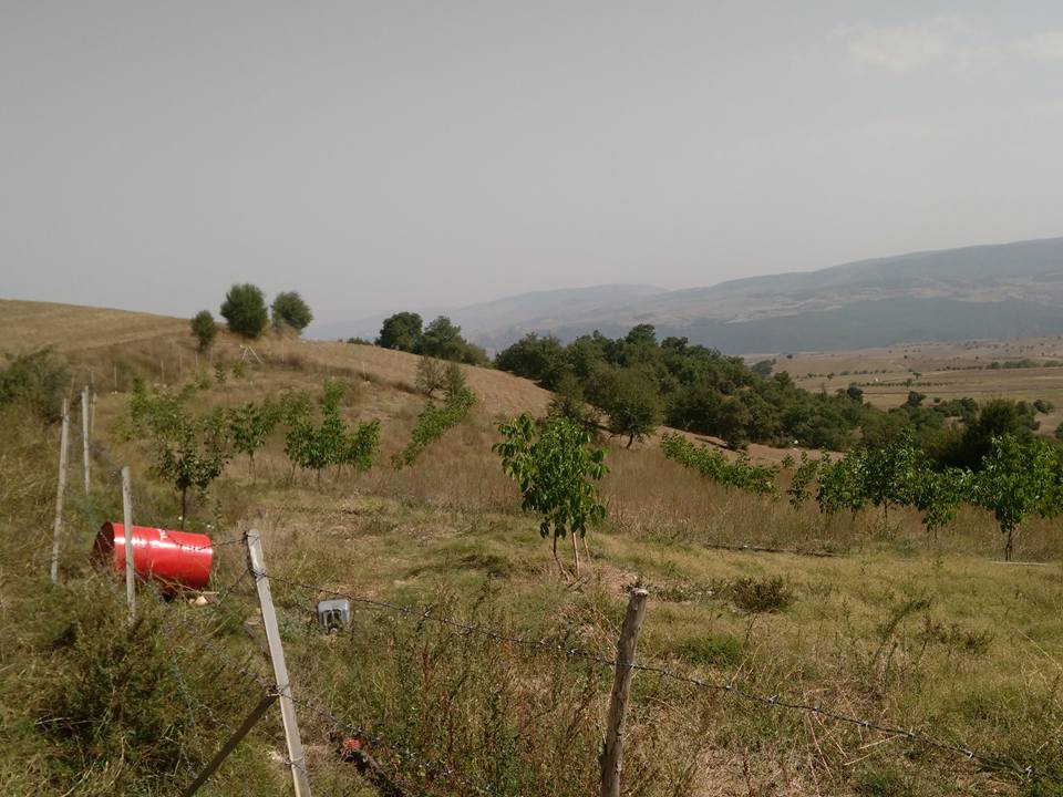 Amasya Merzifon Büyükçay Köyü Resimleri 36