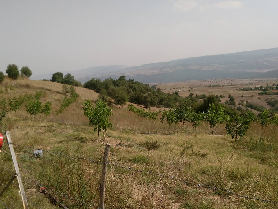 Amasya Merzifon Büyükçay Köyü Resimleri 39