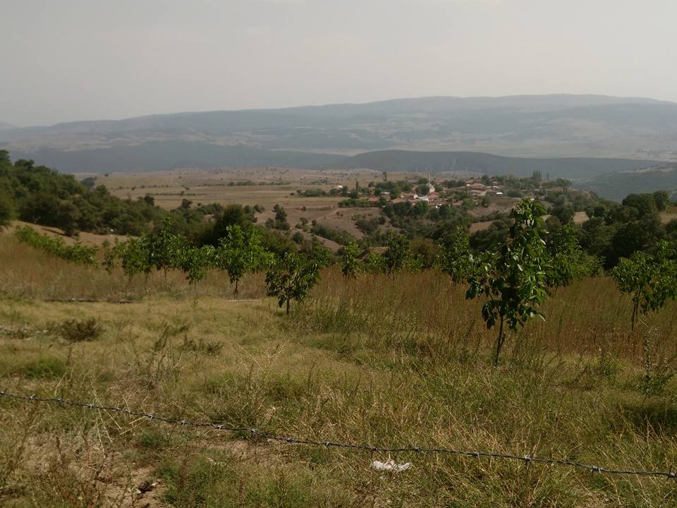 Amasya Merzifon Büyükçay Köyü Resimleri 40
