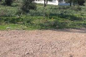 Çorlu Şahpaz Köyü Resimleri 2