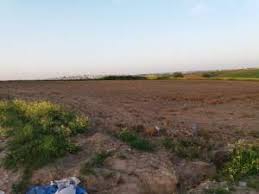 Çorlu Şahpaz Köyü Resimleri 4