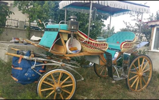 Çorlu Türkgücü Köyü Resimleri 4