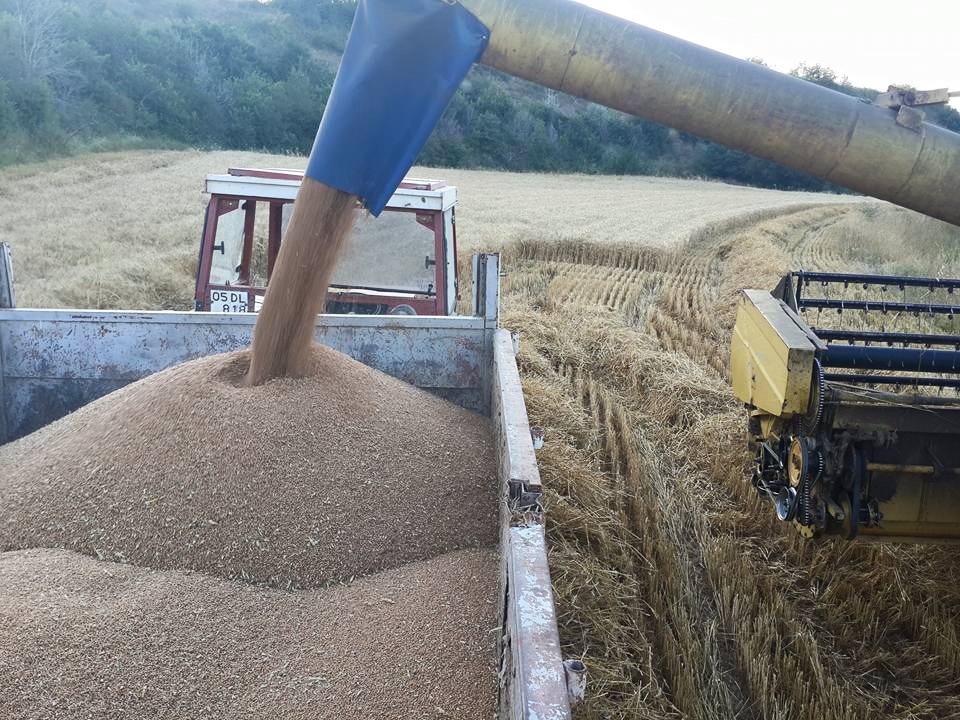 Amasya Merzifon Esentepe Köyü Resimleri 13