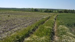 Ergene Esenler Köyü Resimleri 3