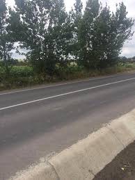 Ergene Karamehmet Köyü Resimleri 2