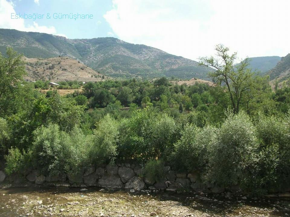 Gümüşhane  Yeniyol  Köyü Resimleri 4
