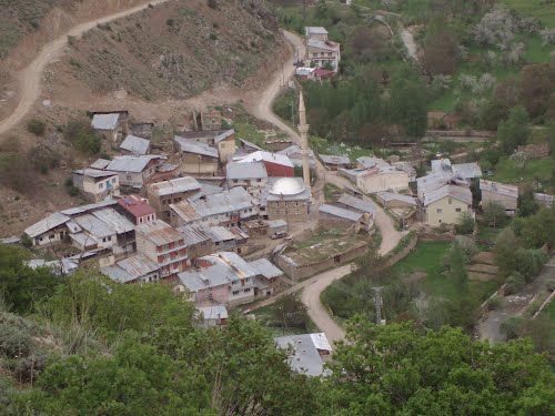 Gümüşhane  Yukarıalıçlı  Köyü Resimleri 2