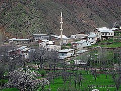Gümüşhane  Yukarıalıçlı  Köyü Resimleri 3
