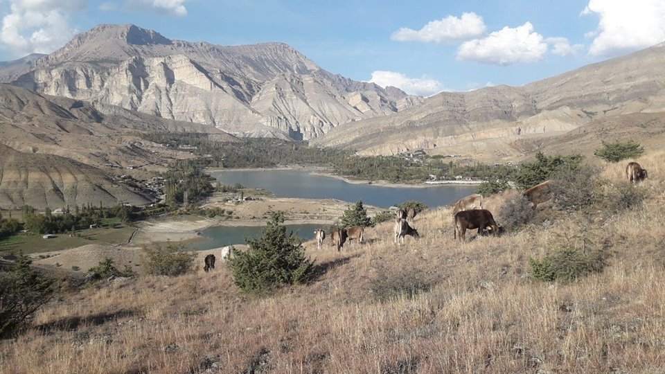 Olur Çataksu Köyü Resimleri 10