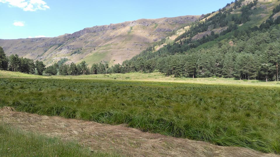 Olur Filizli Köyü Resimleri 6