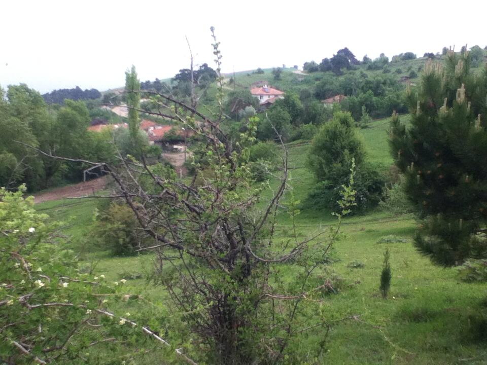 Amasya Merzifon Hacet Köyü Resimleri 17