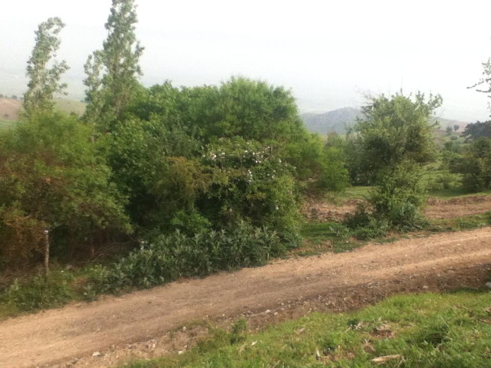 Amasya Merzifon Hacet Köyü Resimleri 3