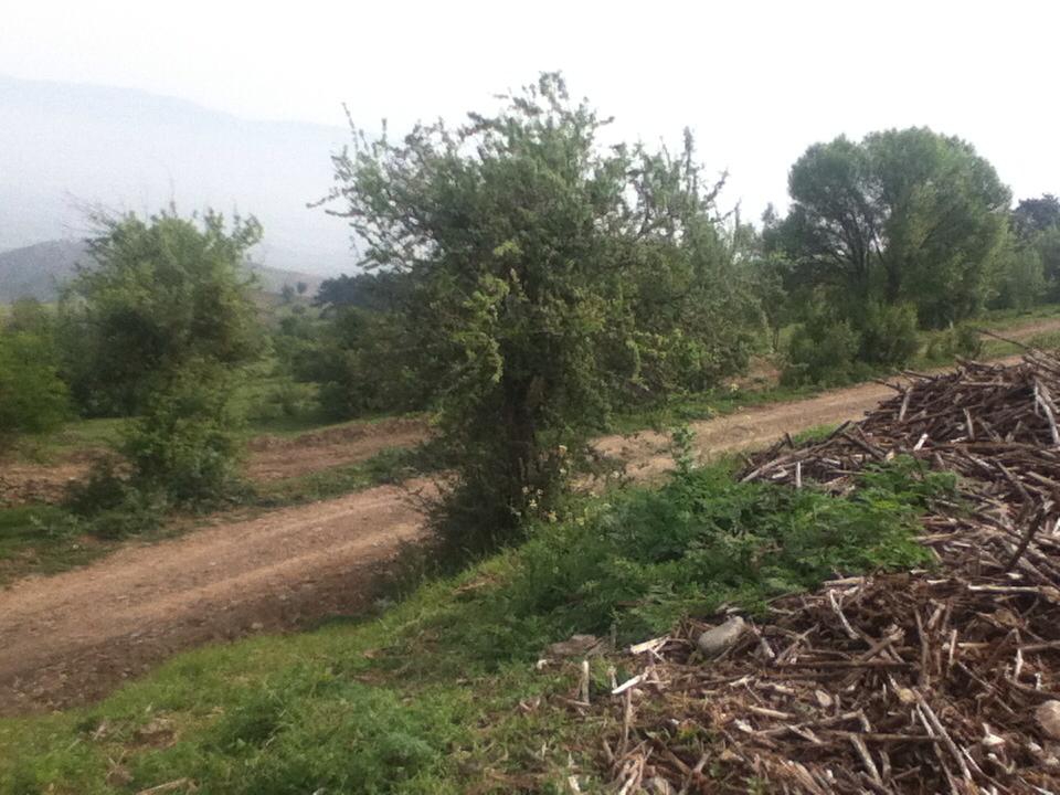 Amasya Merzifon Hacet Köyü Resimleri 6