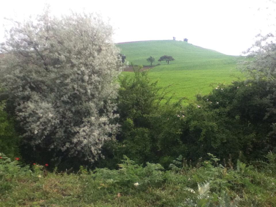 Amasya Merzifon Hacet Köyü Resimleri 7