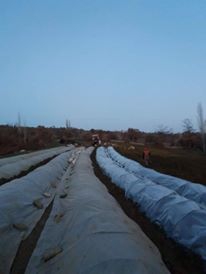 Salihli Gökeyüp Köyü Resimleri 4