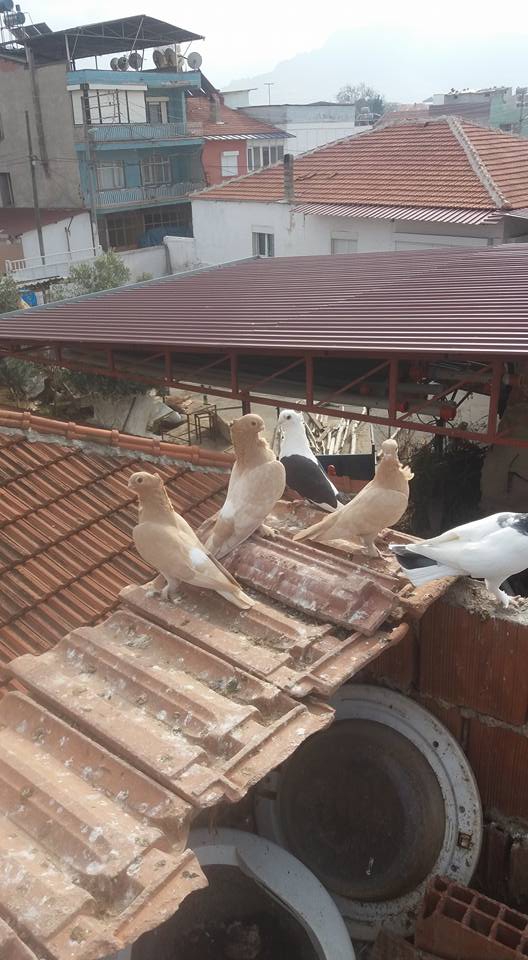 Salihli Sart Köyü Resimleri 3