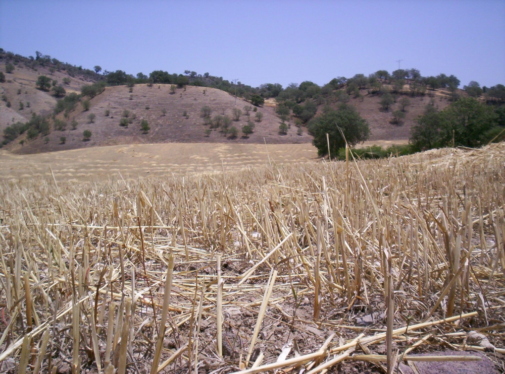 Salihli Yılmaz Köyü Resimleri 1