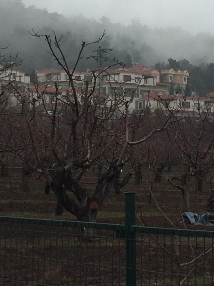 Salihli Allahdiyen Köyü Resimleri 4