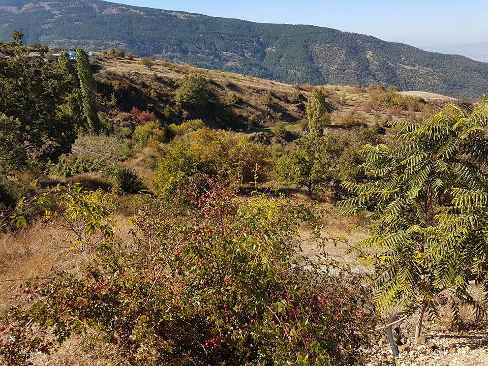 Salihli Bahçecik Köyü Resimleri 6