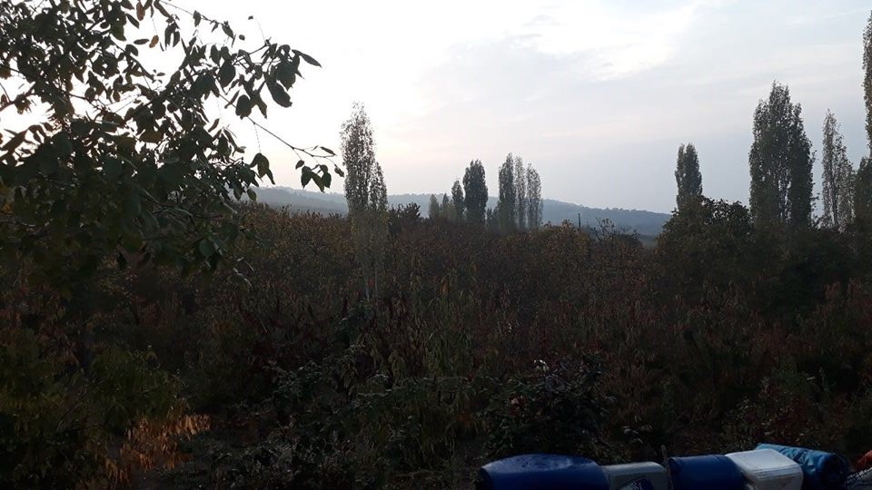 Salihli Başlıoğlu Köyü Resimleri 8