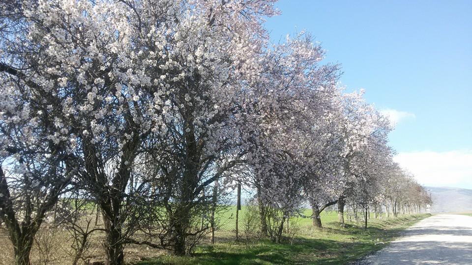 Amasya Merzifon Karatepe Köyü Resimleri 14