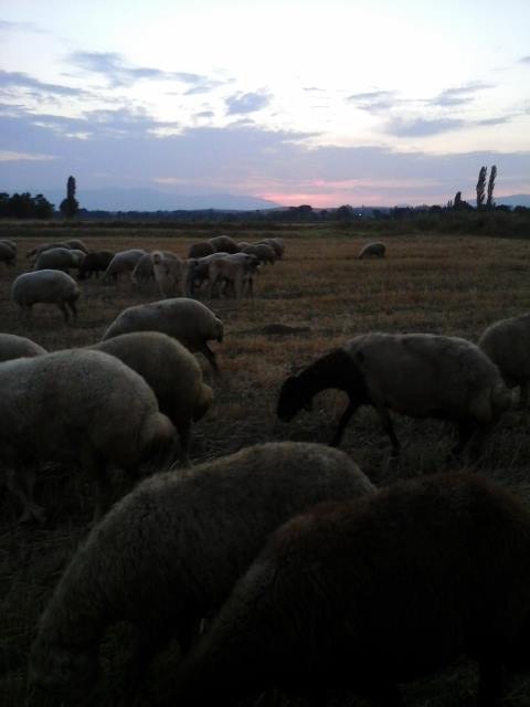 Amasya Merzifon Karatepe Köyü Resimleri 2
