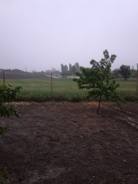 Amasya Merzifon Karatepe Köyü Resimleri 24