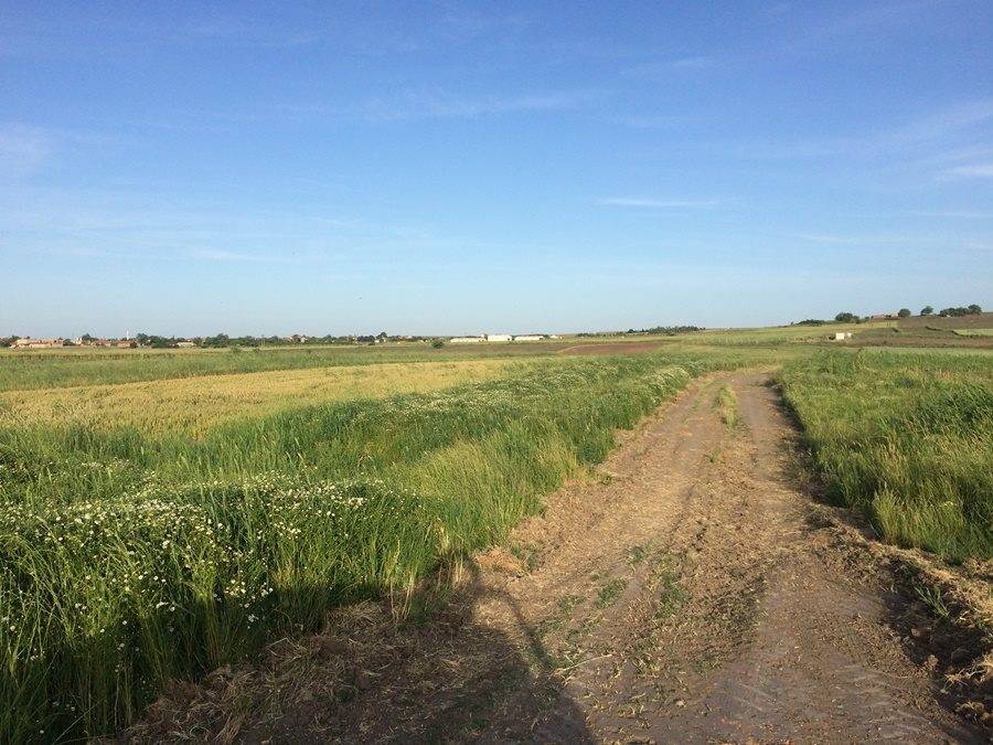 Ergene Vakıflar Köyü Resimleri 3