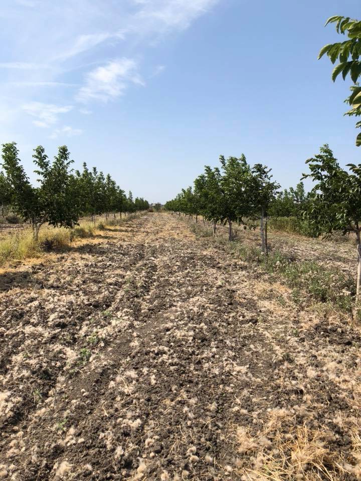 Ergene Vakıflar Köyü Resimleri 5