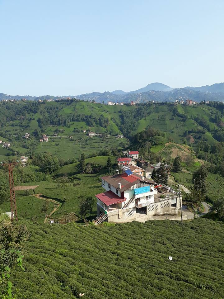 Olur Köprübaşı Köyü Resimleri 7