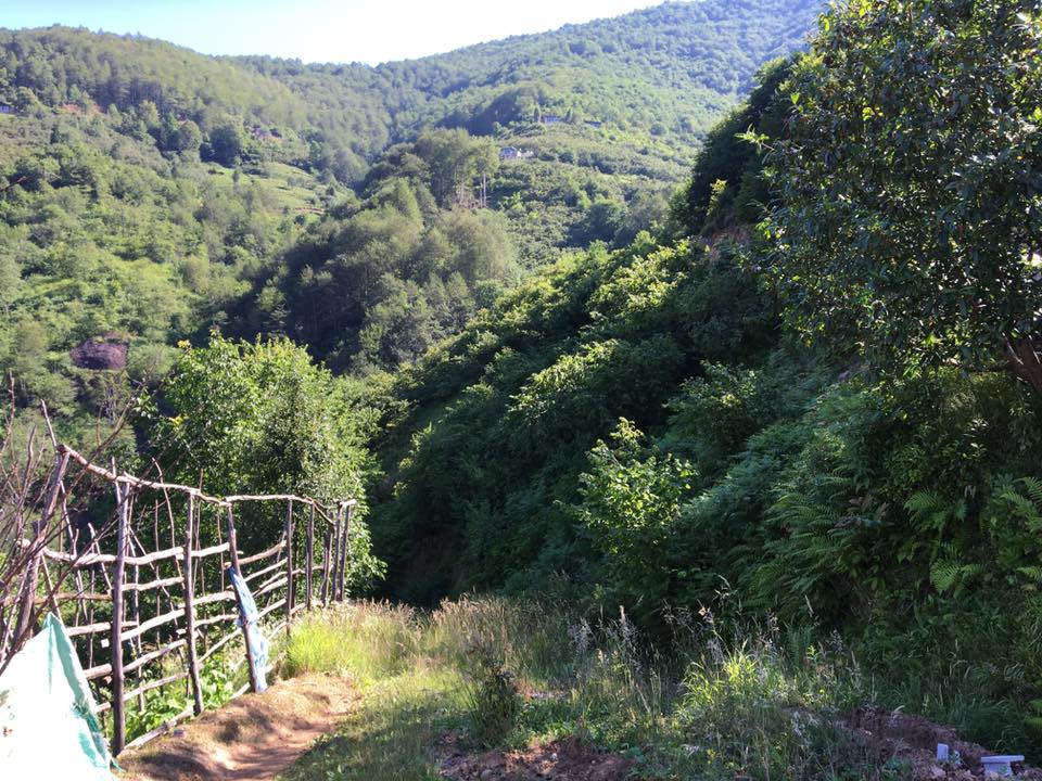 Olur Köprübaşı Köyü Resimleri 9